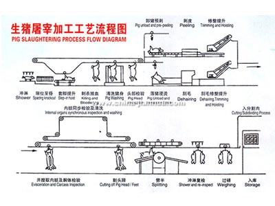 DAJIANG.com大江体育(中国大陆)科技公司